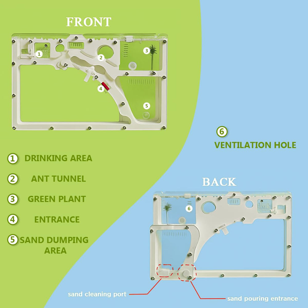 Kahopy Ant Farm sand pack provides ideal substrate for tunnel building.