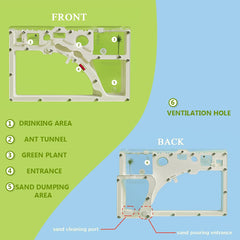 Kahopy Ant Farm sand pack provides ideal substrate for tunnel building.