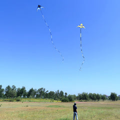 Kaiciuss beach-ready delta kite blue for outdoor days