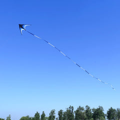 Kaiciuss handcrafted stitching supports the large delta kite blue