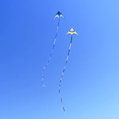 Kaiciuss kite in flight against blue sky with high visibility