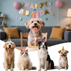 Kezzfpa birthday party decor hats brighten plush toys and pets alike.