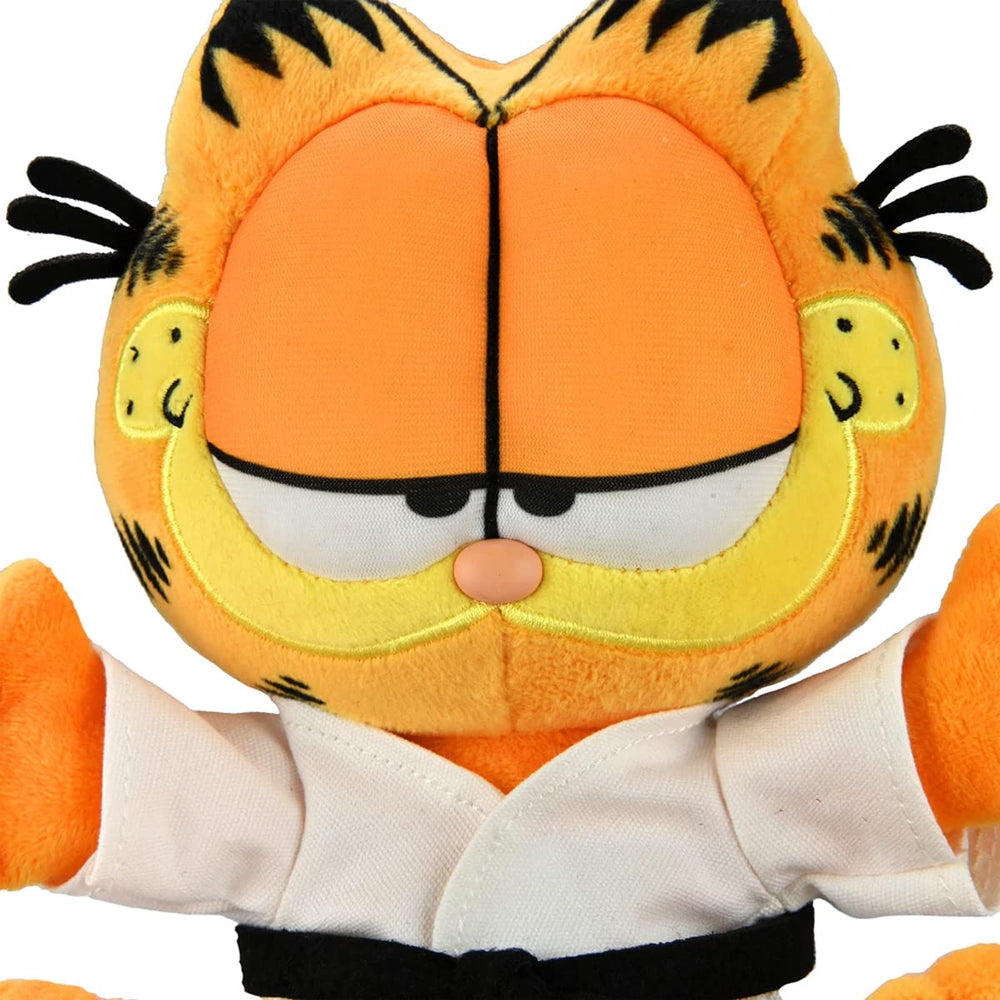 Kidrobot Karate Garfield GI Plush packaging image, official Garfield item for collectors.