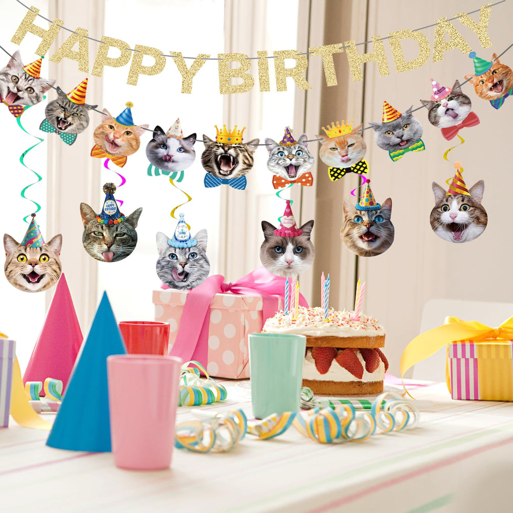 KingZONE Cat Happy Birthday Banner complements other party supplies beautifully.