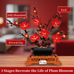 Kiothdre Plum Blossom on wood plinth showcases premium display for living rooms