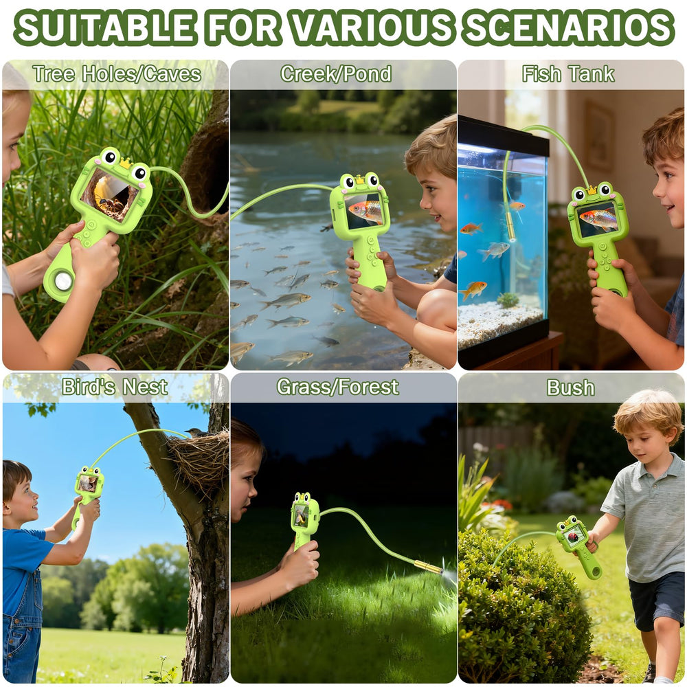 Kiscamgear endoscope view of insects and nests for safe learning.