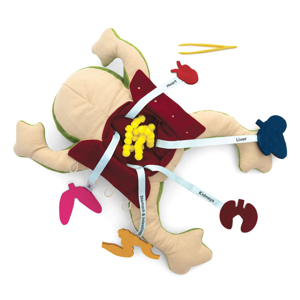 Kid-friendly tweezers from Froggie Lab enabling safe hands-on exploration.