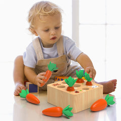 KMTJT toddler-friendly non-toxic wooden toy supports early STEM exploration