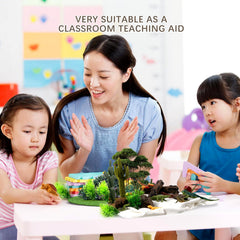 Kukifun desert reptiles set display showcasing vibrant colors and educational fun