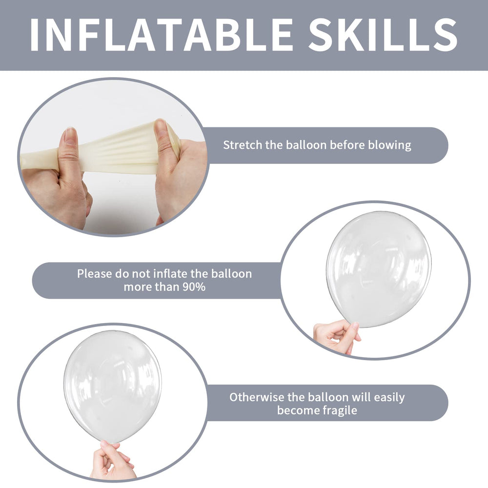 Labeol clear 10-inch balloons provide balanced texture for arches.