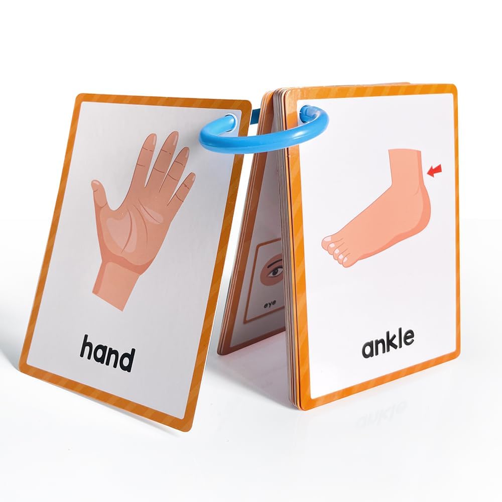 Lachilly body parts flashcards with cartoons support memory retention.