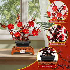 LANGLICHUN gift-ready packaging ideal for gifting on holidays and special occasions