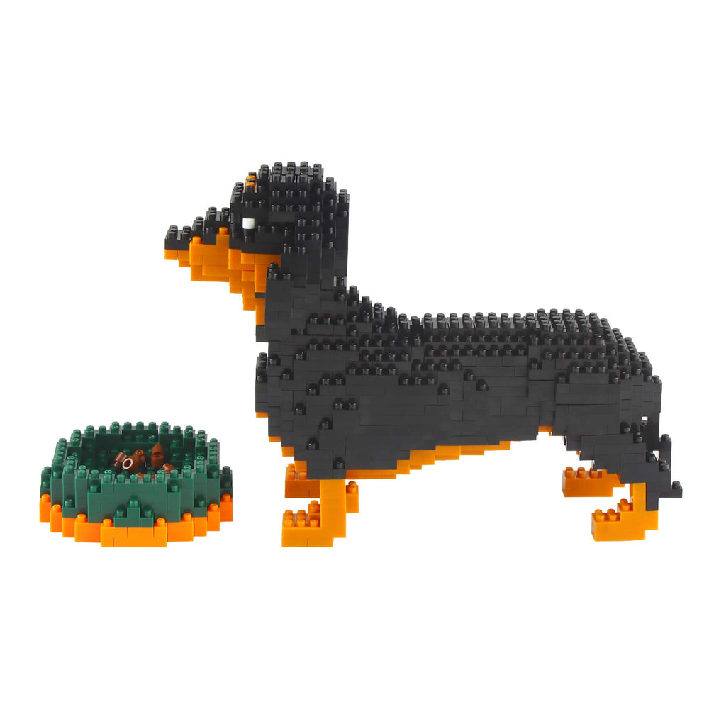 Larcele Dachshund assembly layer-by-layer guide promotes careful planning