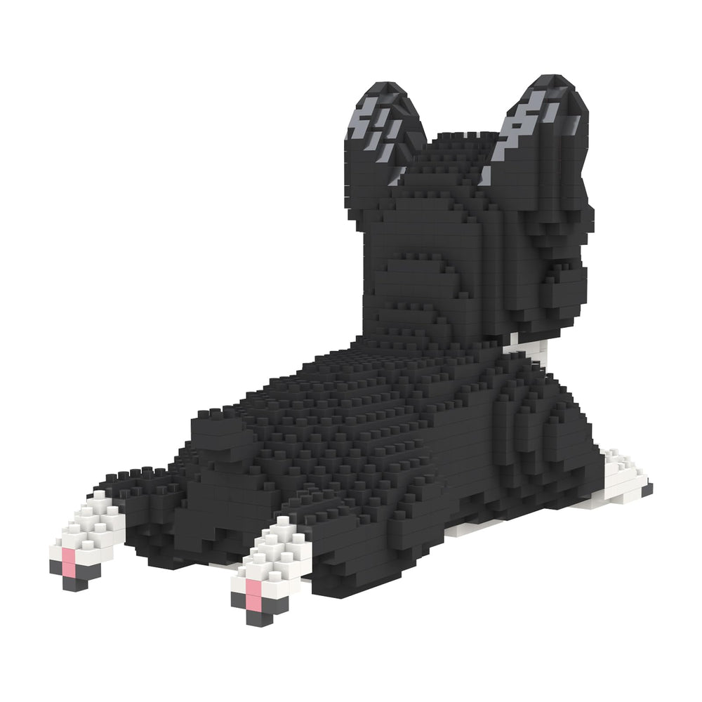 Larcele Micro Dog packaging; gift-ready set for hobbyists and collectors.