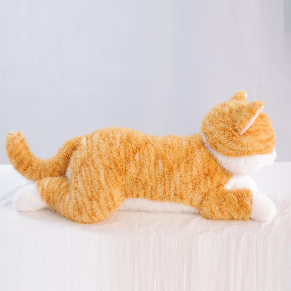 Leahaoe large weighted cat orange gift-ready packaging for gifting.