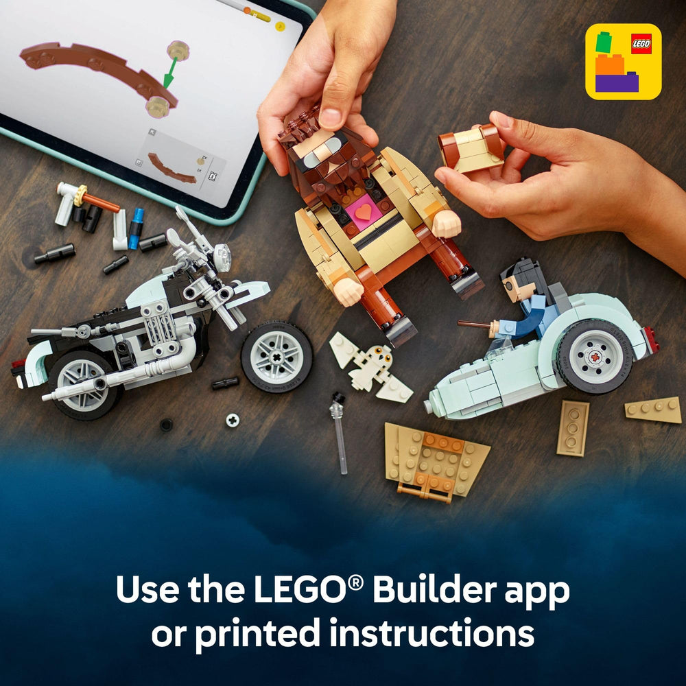 LEGO display gift idea for Harry Potter fans and collectors.
