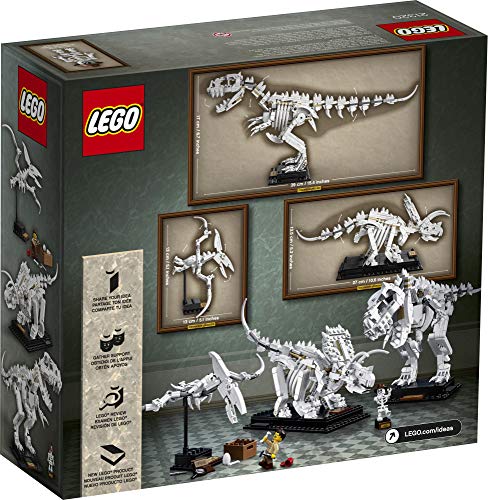 LEGO Ideas 21320 Sapiens skeleton display adds scale to the diorama.