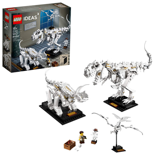 LEGO Ideas 21320 T-Rex skeleton on display stand for museum-like decor.