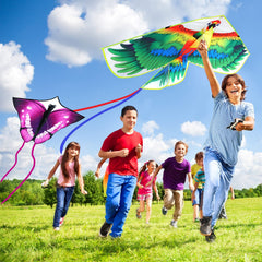 Leitee parrot kite 6-pack featuring bright colors for outdoor learning and play.
