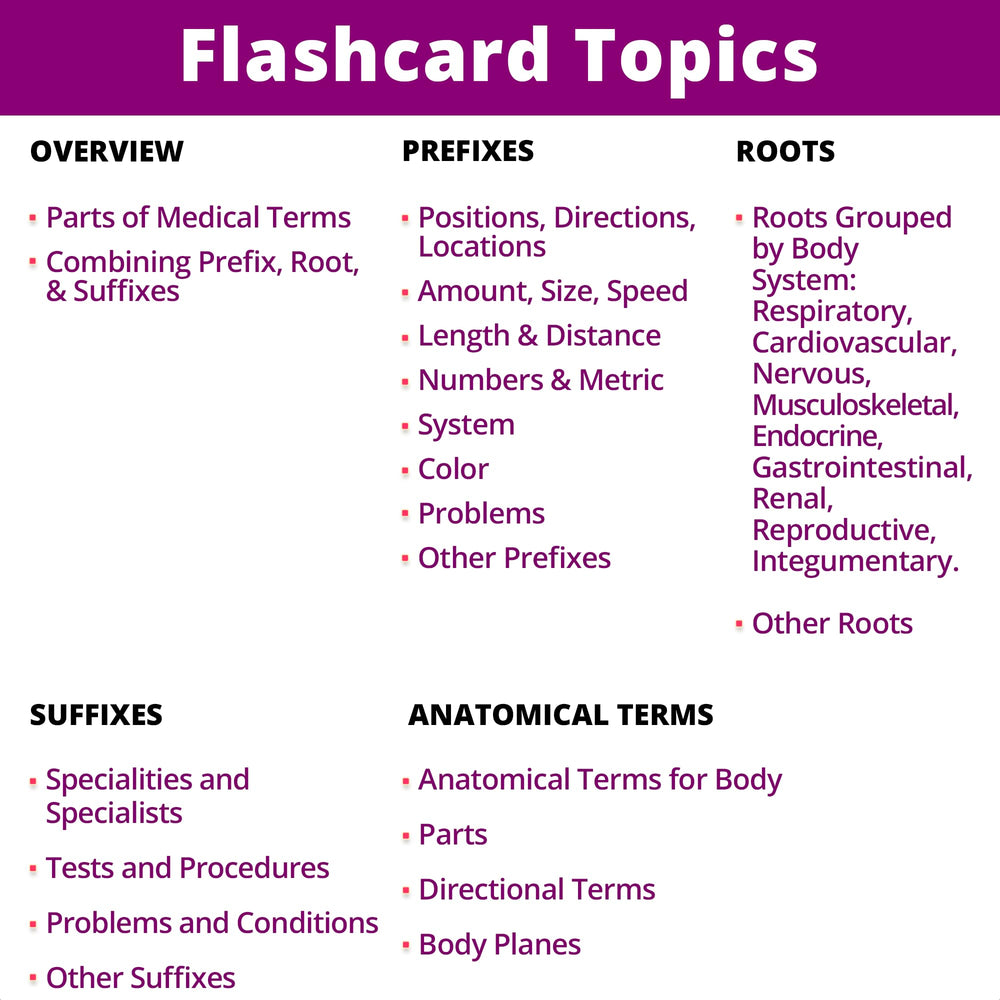 Level Up RN examples-with-words card connects terms to real usage.