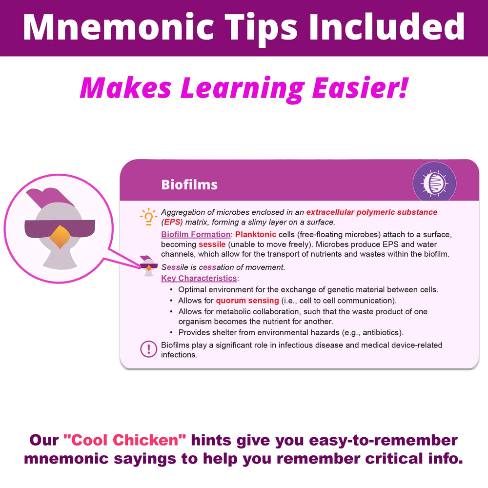 Level Up RN microbiology flashcards desk setup promotes efficient study sessions
