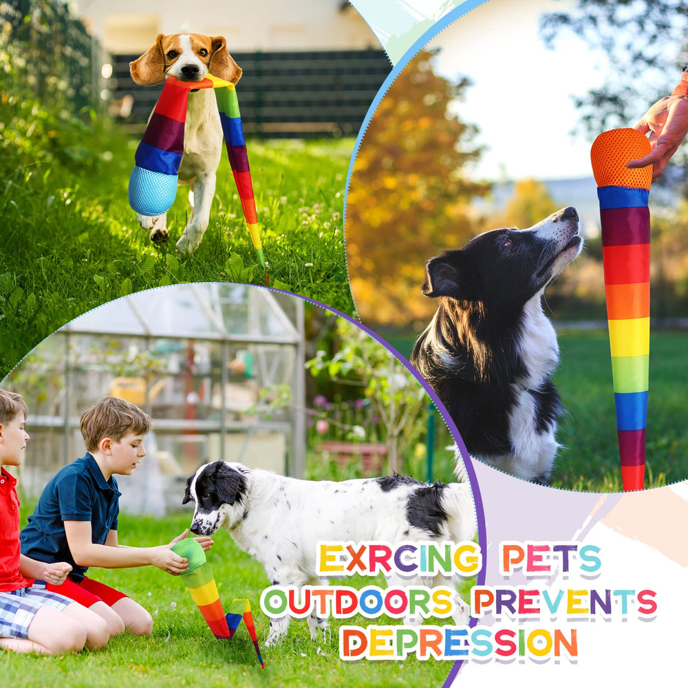 Leyndo rainbow colors top feature six hues to spark color recognition and activity.