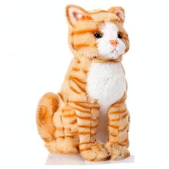 Libima orange cat plush vacuum-sealed packaging arrives compact and clean.
