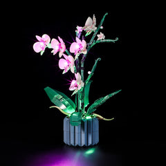 LIGHTAILING hidden wiring design enhancing clean display