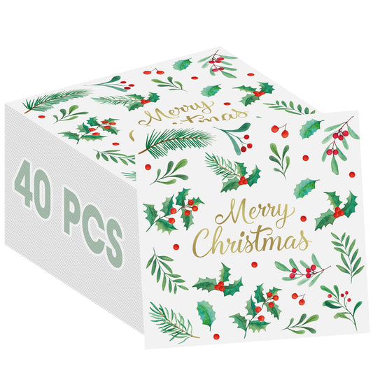 Litmitfu Merry Christmas napkins folded to 13 inches for quick cleanup