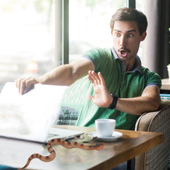 Lohoee party decor snake toy adds spooky fun to events.