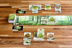 Lookout Forest Shuffle: eco-friendly packaging highlights sustainable, plastic-free box.
