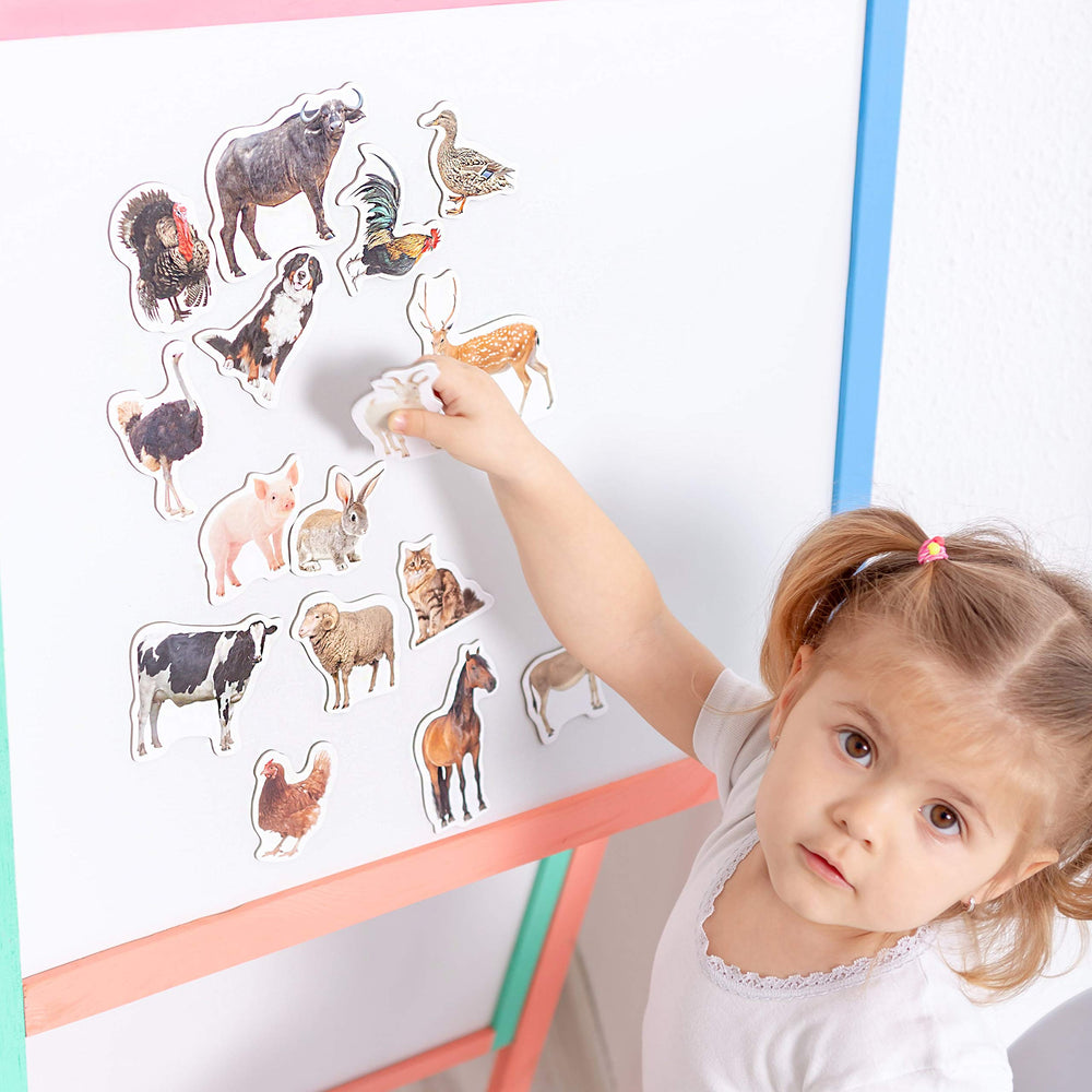 Magdum chick fridge magnet teaches baby animals with durable magnets