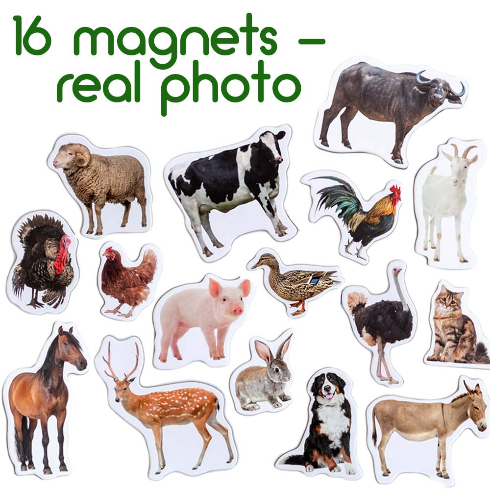 Magdum horse fridge magnet supports early language and imaginative play
