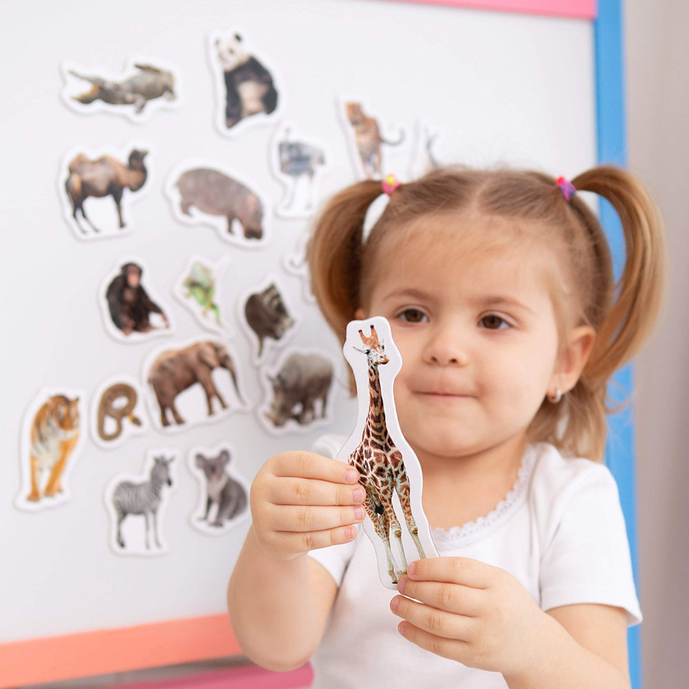 MAGDUM giraffe magnet brightens fridge decor while teaching tall animal traits.