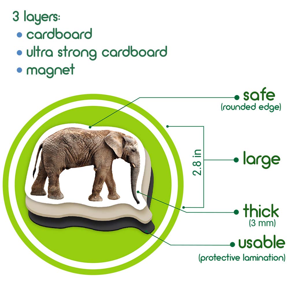 MAGDUM koala magnet pairs with stories about tree-dwellers and cozy nooks.