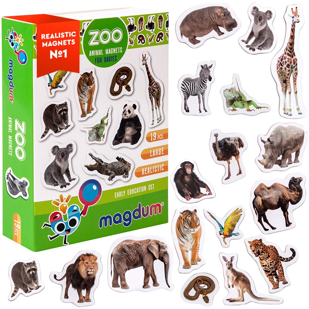 MAGDUM lion magnet on the fridge for early animal recognition and imaginative play.