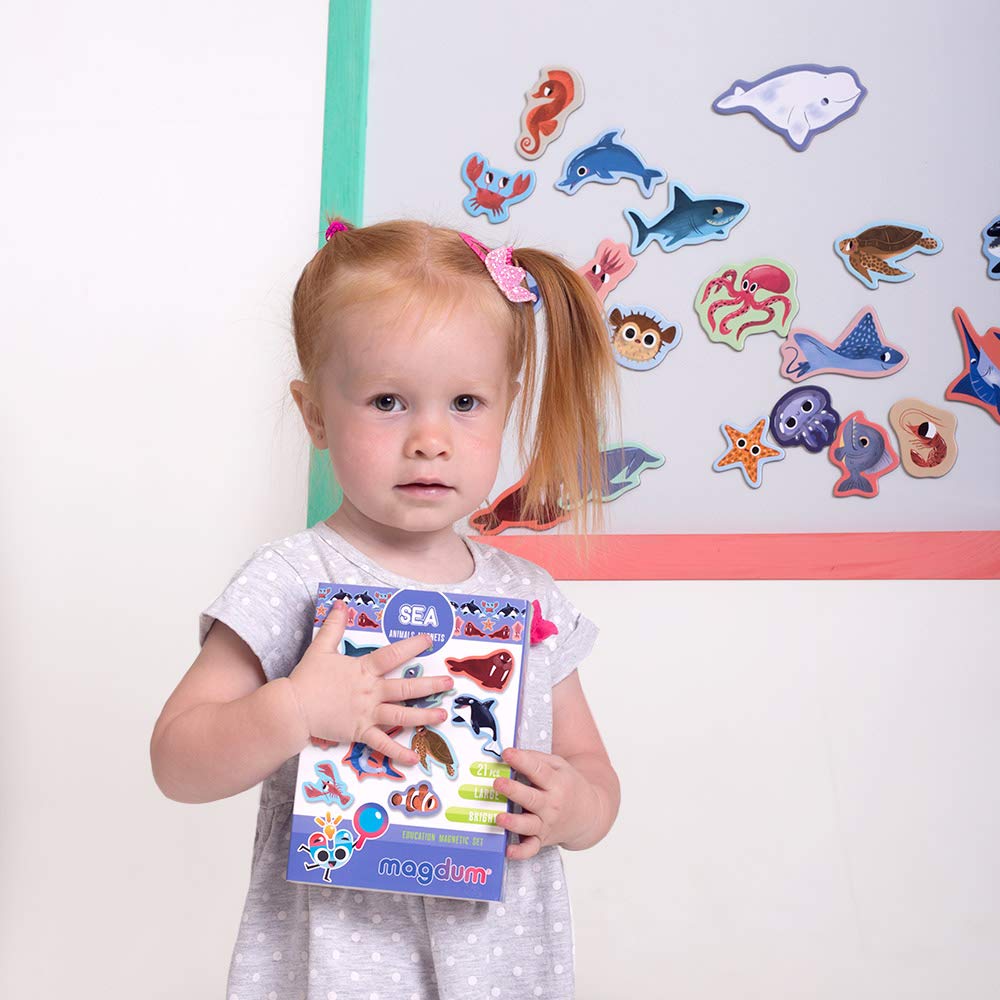 Magdum Sea Animals large magnets on a metal surface for open-ended play