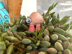 Marcel the Shell with Shoes On life-size figure placed on a desk for whimsical workspace display.