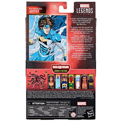 Marvel Legends Justice Warriors diorama-friendly figure for shelf setups.