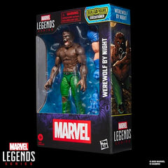 Marvel Legends Werewolf by Night dynamic poseability enables dramatic shelf scenes.