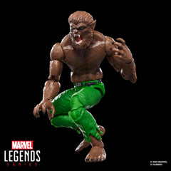 Marvel Legends Werewolf by Night poseable head and arms enable varied display options.
