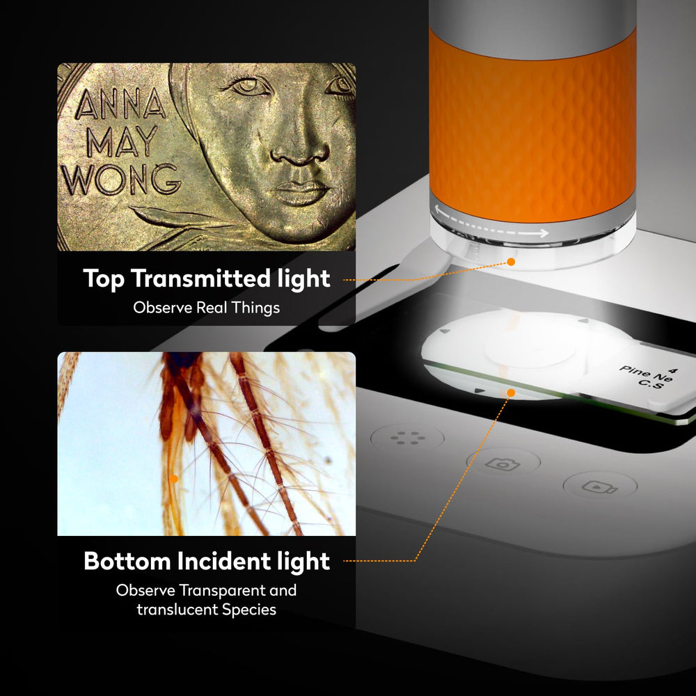 MatataStudio MX2-AS intelligent dyeing improves real-time color clarity