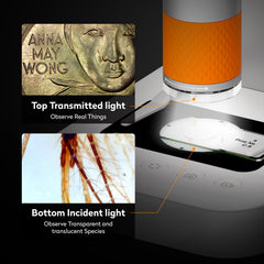MatataStudio MX2-AS intelligent dyeing improves real-time color clarity