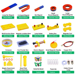 Matifaner ring magnet shown for exploring attraction and field patterns