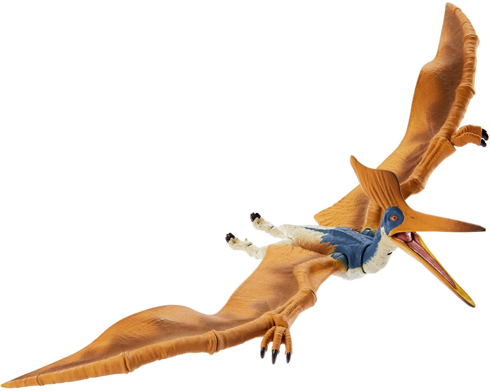 Mattel Geosternbergia with a 14.9 inch wingspan for dramatic display.