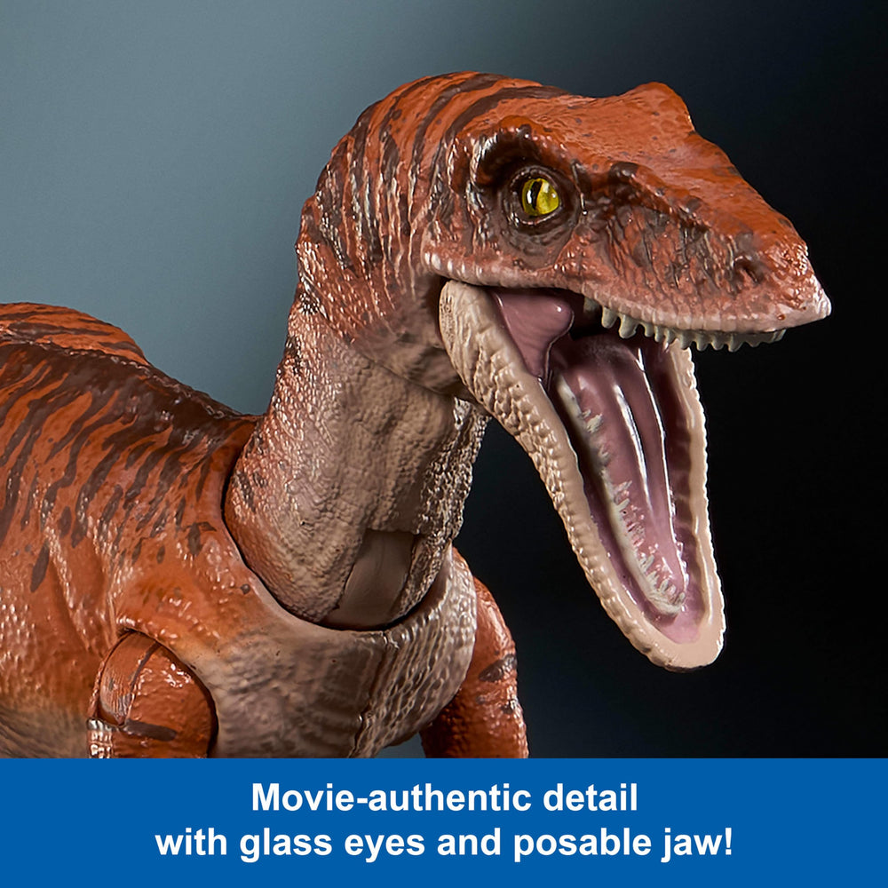 Mattel toy with premium packaging, ideal for gift-ready display