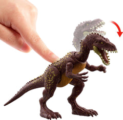 Authentic decoration enhances display of the Jurassic World dinosaur