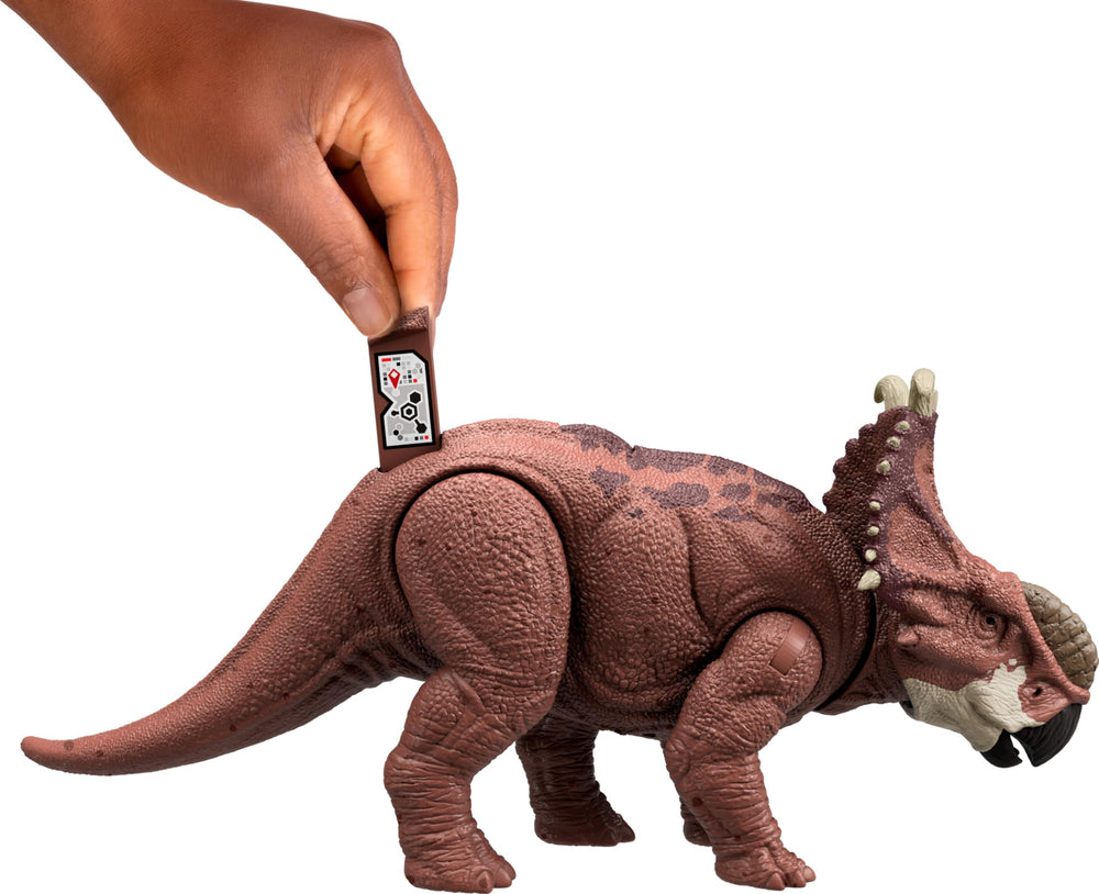 Mattel Jurassic World Wild Roar Pachyrhinosaurus movable joints enhance posing and action scenarios.