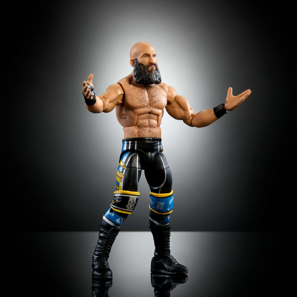Mattel WWE Elite Ciampa collection display ready for shelf or diorama