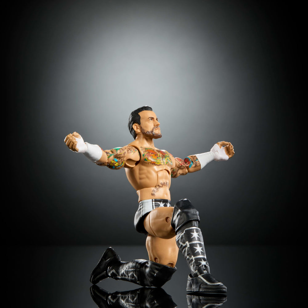 Mattel WWE Elite CM Punk accessories exemplify iconic ring gear